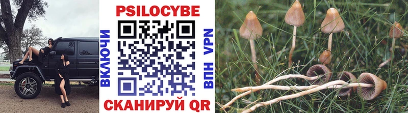 Псилоцибиновые грибы MAGIC MUSHROOMS  магазин продажи   Спасск-Дальний 