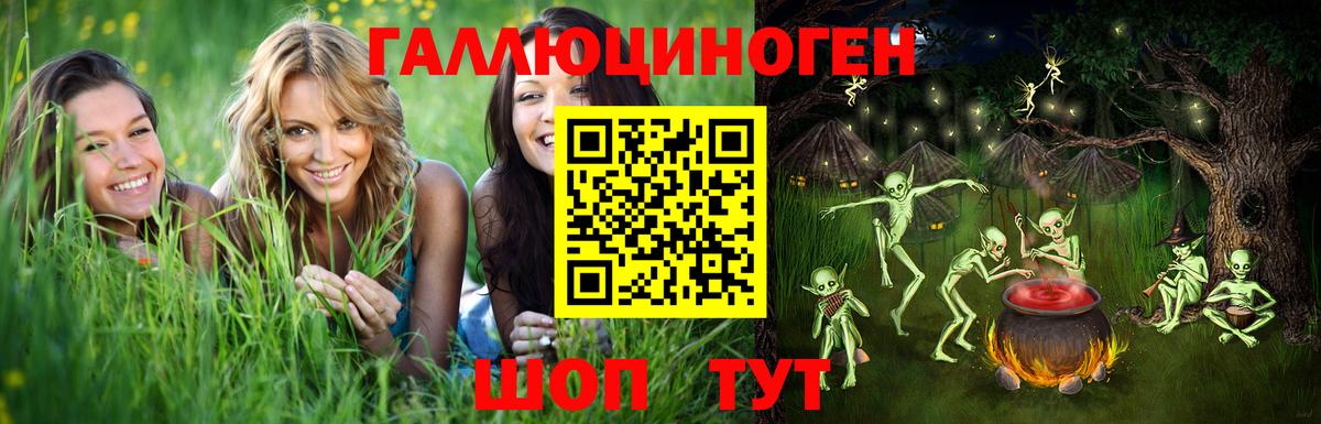 Спасск-Дальний  Псилоцибиновые грибы GOLDEN TEACHER  Вход с VPN 