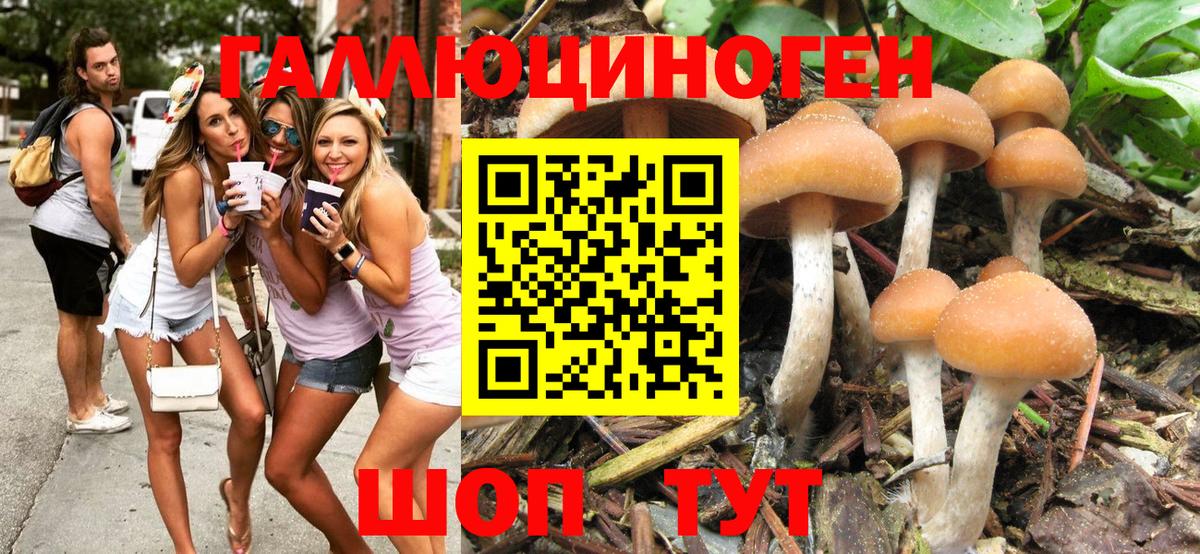 Псилоцибиновые грибы прущие грибы Спасск-Дальний
